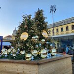 Photo taken by Jocelyn C