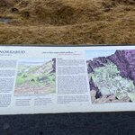 Photo taken by Jaya C