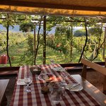 Photo taken by Kay M