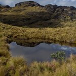 Photo taken by Sabine V