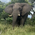 Photo taken by Crystall P