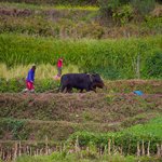 Photo taken by Peter M