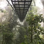 Photo taken by Khaled S