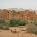 null | Photo taken by Wayne P