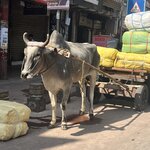 Photo taken by Jacki W