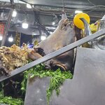 Photo taken by Mike K