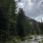 Photo taken by Sylvia S