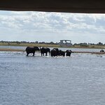 Photo taken by rhonda c