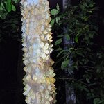 Photo taken by Tenley G