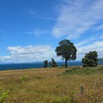 Photo taken by Ayesha A