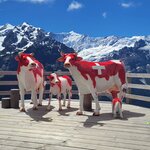 Photo taken by Daniella G