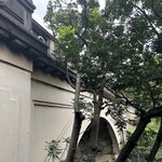 Photo taken by Amy Z