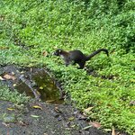 Photo taken by Sushma S