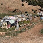 Photo taken by Tom B