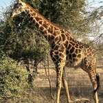 Photo taken by Glicelda B