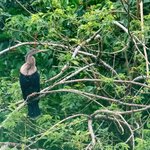 Photo taken by Holly B