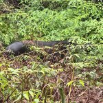 Photo taken by Jim W