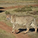 Photo taken by William R