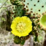 Photo taken by Katherine A