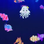 Photo taken by Sandra C