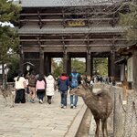 Photo taken by Hanna W