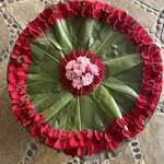 Photo taken by Carina S