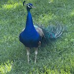 Photo taken by John Y