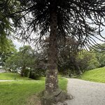 Photo taken by Lara N