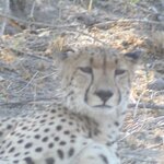 Photo taken by John B