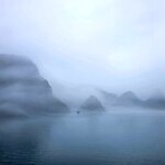 Photo taken by Vinh T