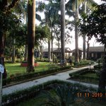 Photo taken by Wayne D