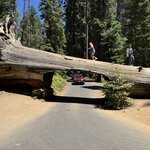 Photo taken by Silvain B