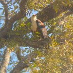 Photo taken by rafiq m