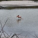 Photo taken by Jayme B