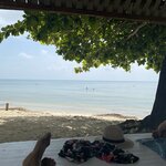 Photo taken by Bincy P