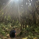 Photo taken by yancey A