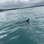 Photo taken by Thomas R