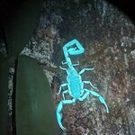 Photo taken by Darlene N