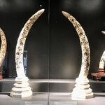 Photo taken by Shaula L