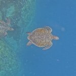 Photo taken by Ben S