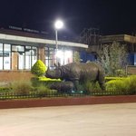 Photo taken by Emily K