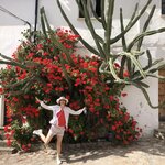 Photo taken by Diane B