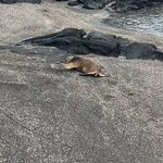 Photo taken by Gary W