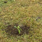 Photo taken by Cathy V