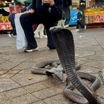 Photo taken by Lisa D