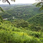 Photo taken by Rodney S