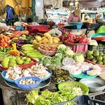 Photo taken by Carol F