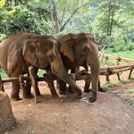 Photo taken by Audrea H