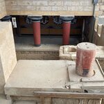 Photo taken by Janice R