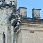 Photo taken by Erin J